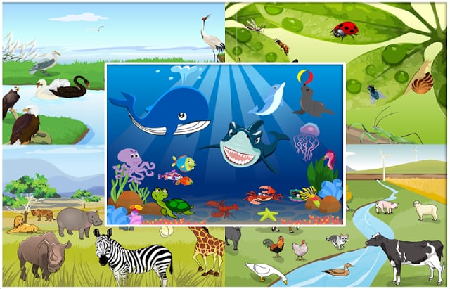 Animal Sound - Game For Kids截图3