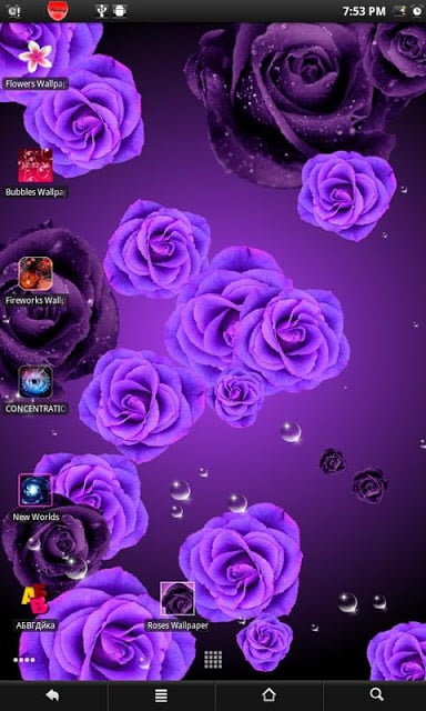 Roses live wallpaper截图2