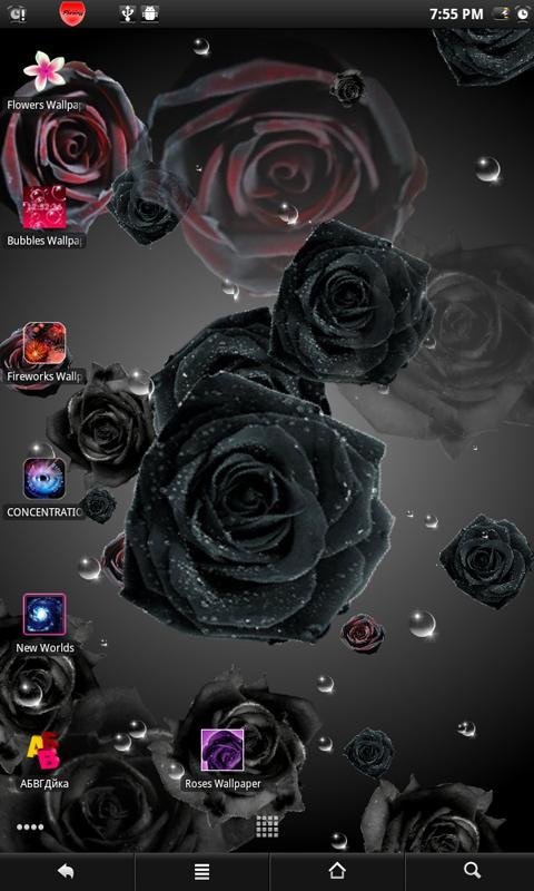 Roses live wallpaper截图6