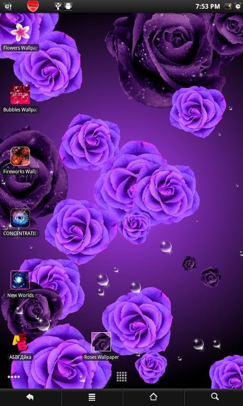 Roses live wallpaper截图10