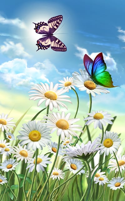 Flowers and Butterflies截图5