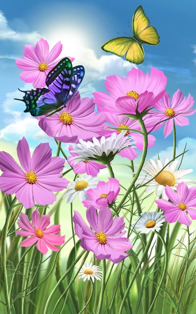 Flowers and Butterflies截图2