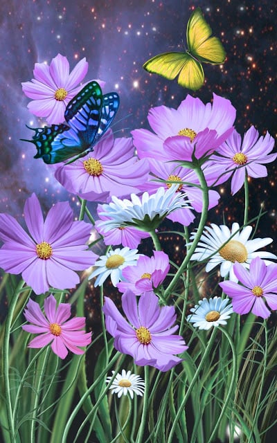 Flowers and Butterflies截图11