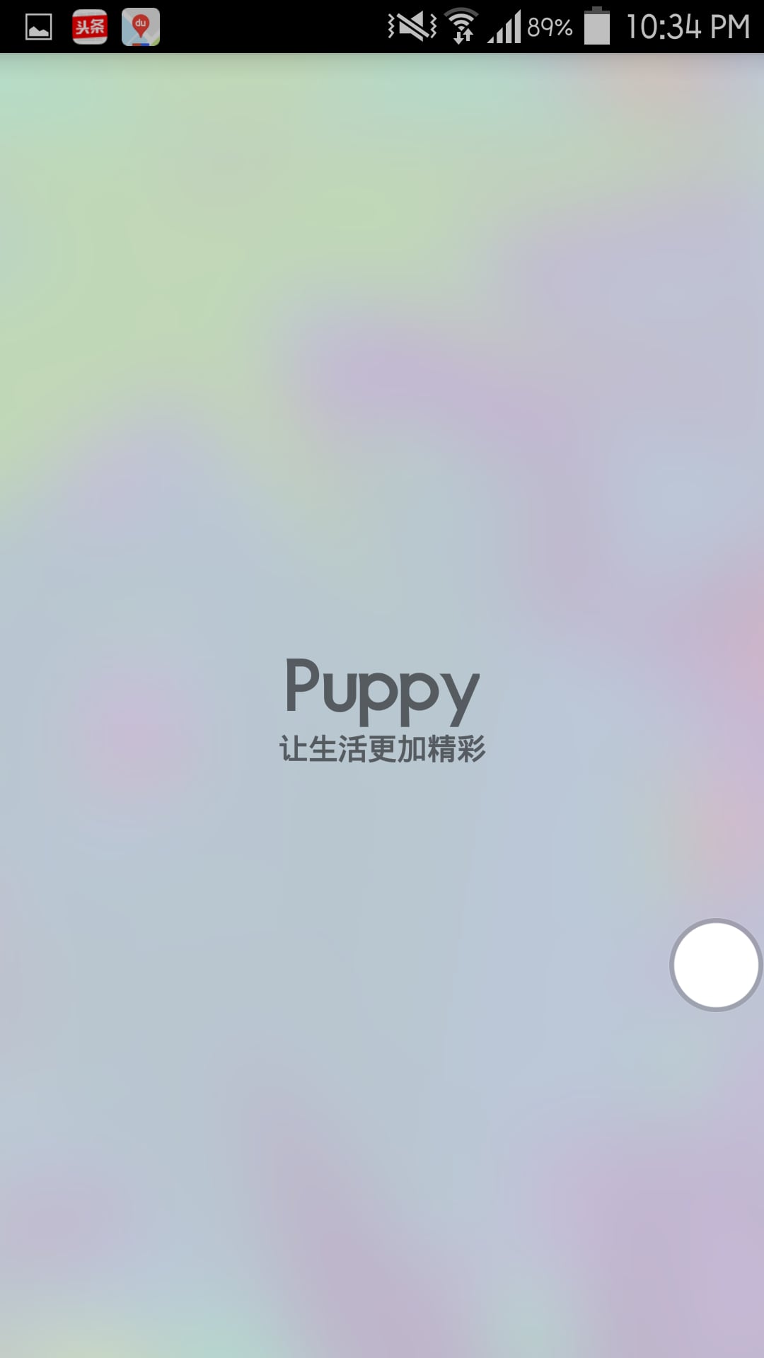 Puppy虚拟按键助手截图2