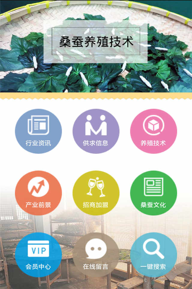 桑蚕截图2