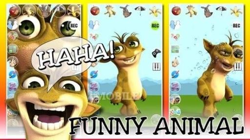 Talking Funny Animal - Big Fun截图2