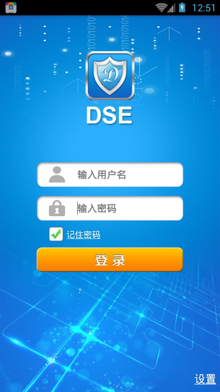 DSE截图1