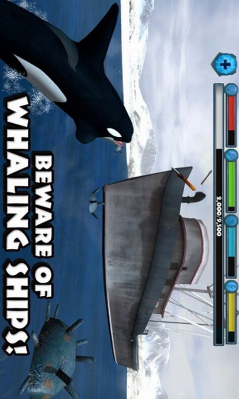 虎鲸模拟器截图2