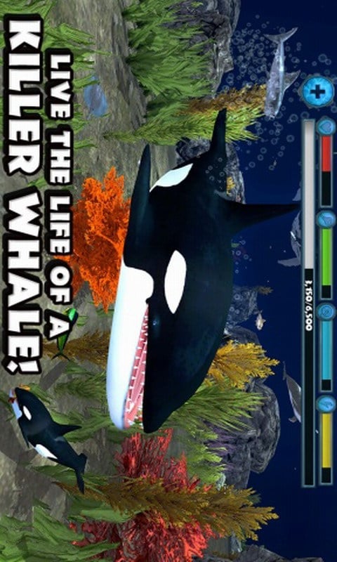 虎鲸模拟器截图4