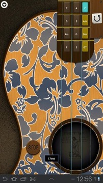 Ukulele Hawaiian Guitar - 四弦琴截图