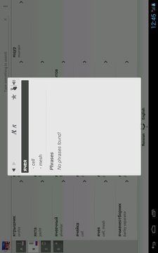 俄英词典 Dictionary Russian English截图