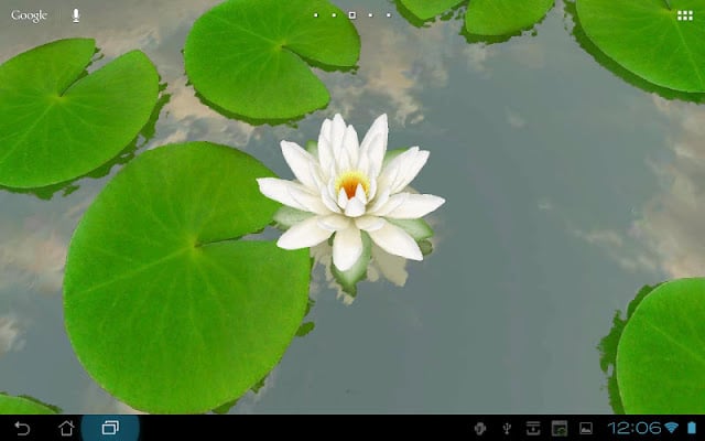 3D Lotus Live Wallpaper Free截图7