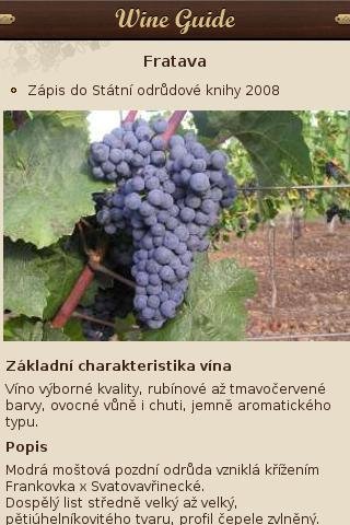 Wine Guide截图4