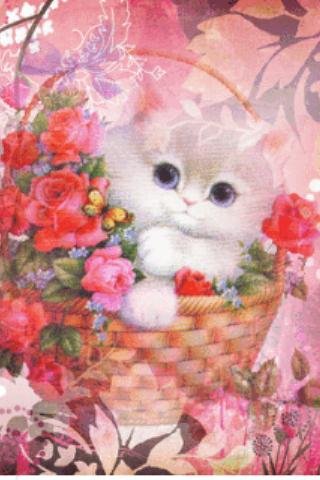 Cat In Floral Basket Live Wall截图2