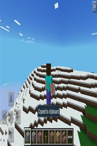 最好的骗子 Minecraft - Best Cheats截图1