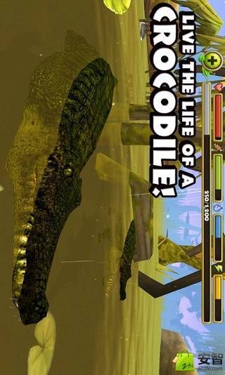 鳄鱼模拟截图3