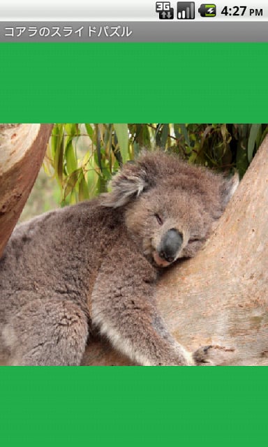 Koala Puzzle free截图1