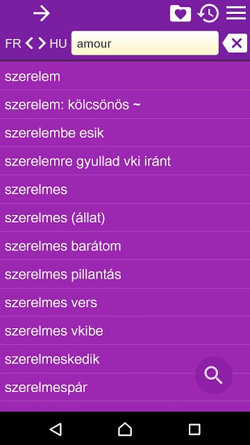 法国匈牙利词典截图8