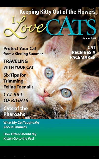 I Love Cats Magazine截图9