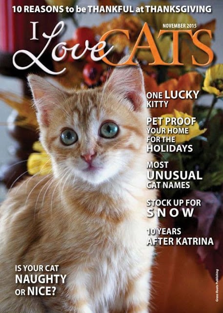 I Love Cats Magazine截图1