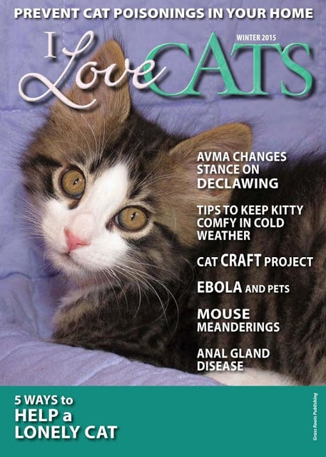 I Love Cats Magazine截图10