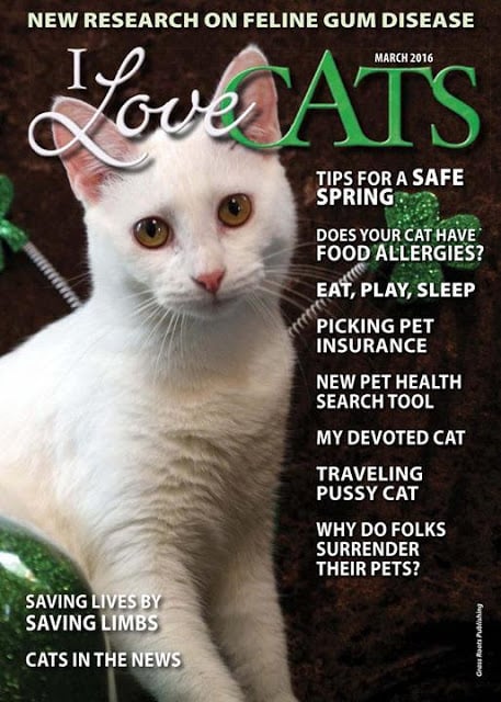 I Love Cats Magazine截图11