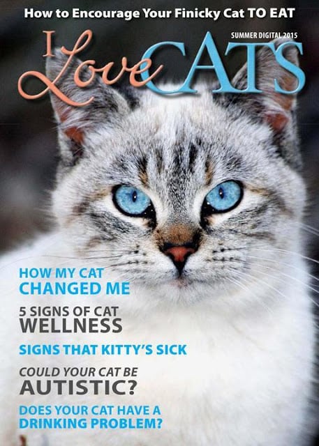 I Love Cats Magazine截图2