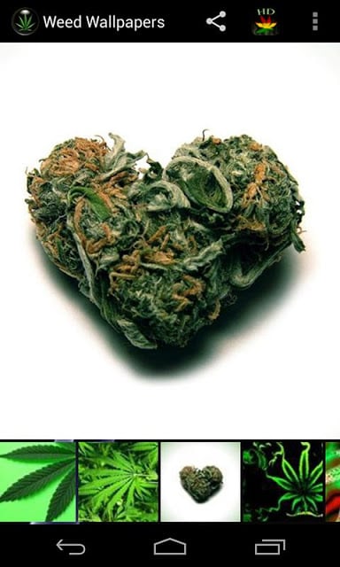 Weed HD Wallpapers截图11