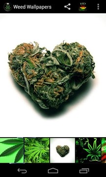 Weed HD Wallpapers截图