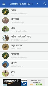 Birds Info - Indian Birds截图