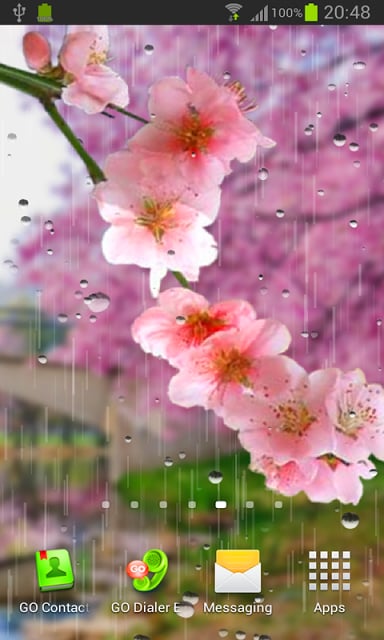 Rain live wallpaper截图4