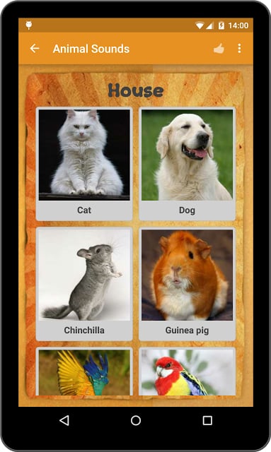 动物的声音 Animal Sounds截图6