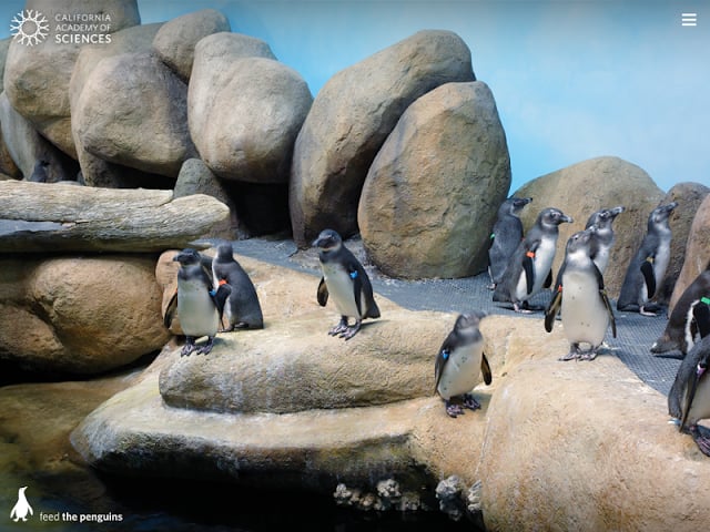 Pocket Penguins截图6