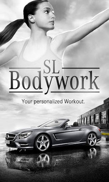 SL Bodywork截图