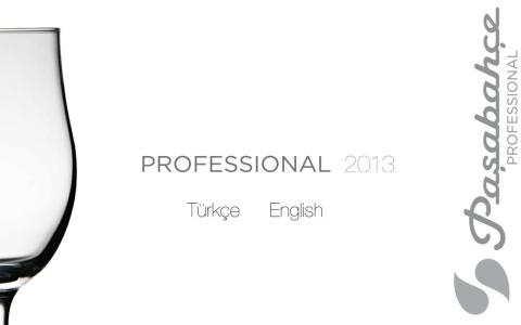 Professional截图1