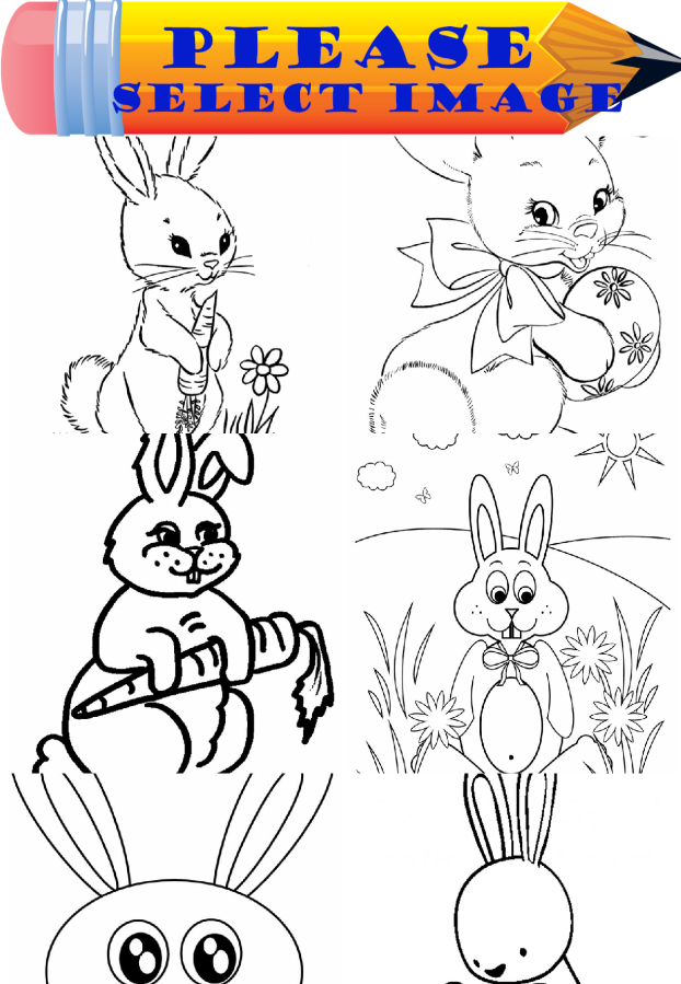 Rabbit Coloring截图8