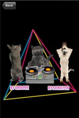 Cat Dance Party截图1