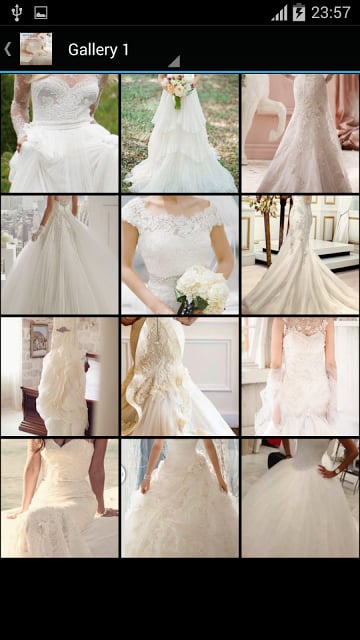 Bridal Dresses截图11