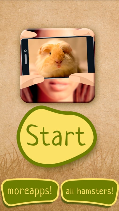 What hamster are you?截图2