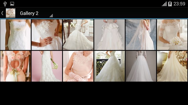 Bridal Dresses截图5