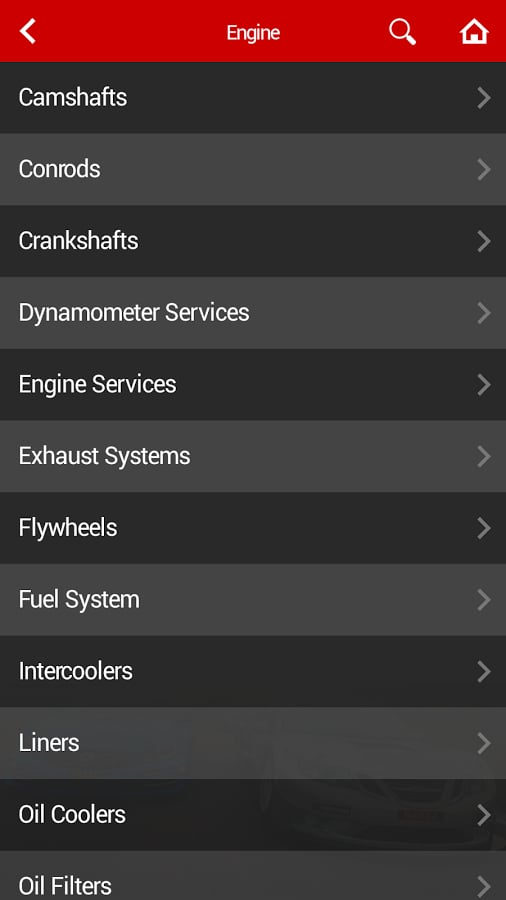 Racecar Engineering Dire...截图5