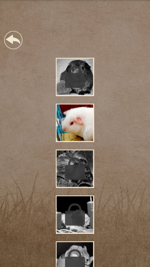 What hamster are you?截图1