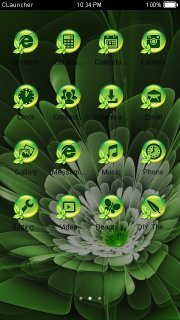 GREEN LIFE Theme截图1