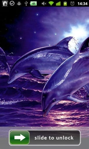 Dolphin Lock Screen Wallpaper截图2