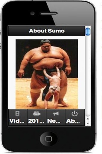 SUMO Wrestling Fan截图2