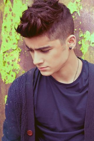 Zayn Malik One Direction截图3