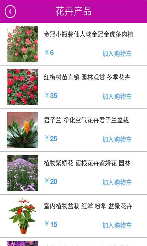 花卉盆景批发截图3