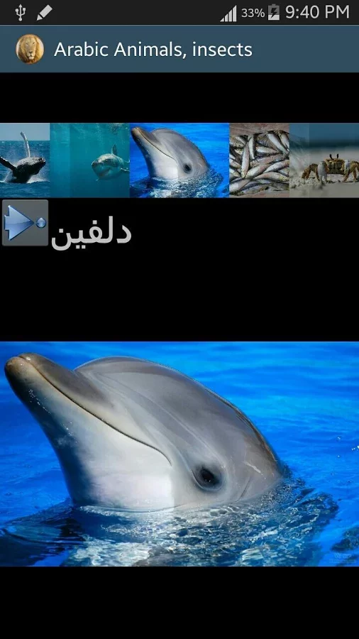 Arabic Picture animals截图2