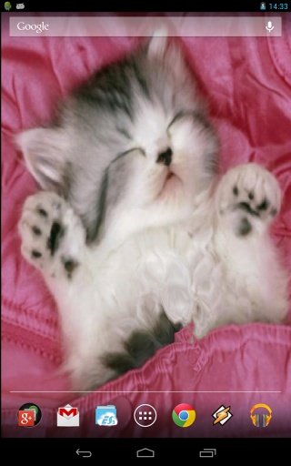 Sleeping Kitten截图1
