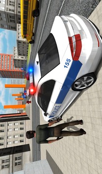 Police Car Driver截图